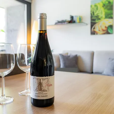 Apartment Iq-sports Bludenz